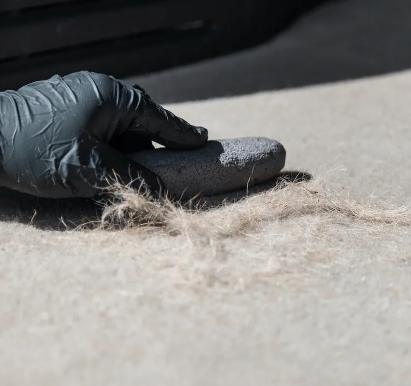 Professional Techniques for Removing Pet Hair and Odors from Car Interiors